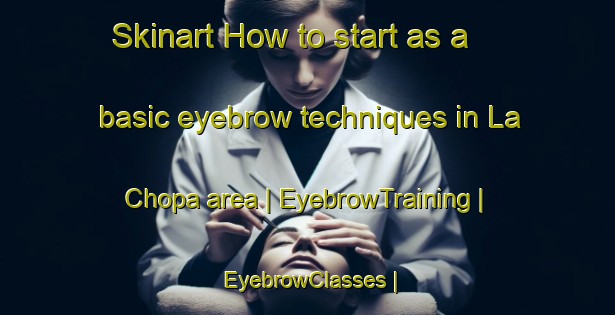 Skinart How to start as a basic eyebrow techniques in La Chopa area | EyebrowTraining | EyebrowClasses | SkinartTraining-Mexico